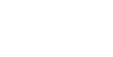 Pulzus logo